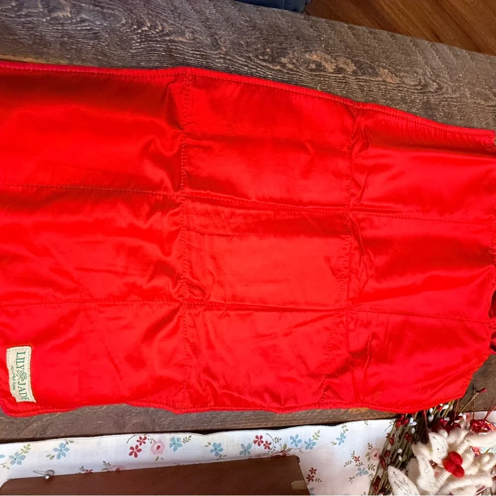 Lily Jade Shaylee Diaper Bag Red replacement Insert Travel Changing Pad GUC!